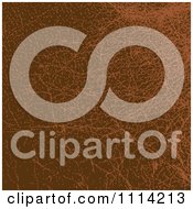Clipart Brown Leather Texture Royalty Free Vector Illustration
