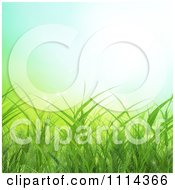 Poster, Art Print Of Background Of Green Spring Grass