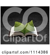 Poster, Art Print Of 3d Grassy Paged Open Book