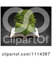 Poster, Art Print Of 3d Grassy Paged Open Book With A Tree