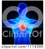 Poster, Art Print Of 3d Man With His Circulatory System Revealed Over Black