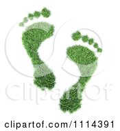Poster, Art Print Of 3d Green Footprints