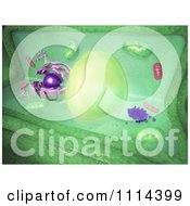 Poster, Art Print Of 3d Plant Cell