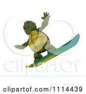 Poster, Art Print Of 3d Tortoise Snowboarding
