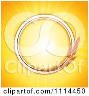 Round Wheat Frame With Copyspace Over Orange Rays