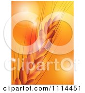 Clipart Closeup Of Wheat Over Orange With Flares Of Light Royalty Free Vector Illustration