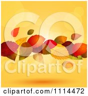 Poster, Art Print Of Floating Autumn Leaves With Flares Of Light Over Orange