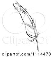 Clipart Black And White Feather Quill Royalty Free Vector Illustration