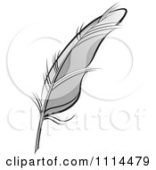 Poster, Art Print Of Gray Feather Quill