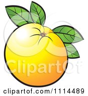 Clipart Orange Fruit With Leaves Royalty Free Vector Illustration by Lal Perera