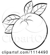 Poster, Art Print Of Outlined Orange Fruit With Leaves