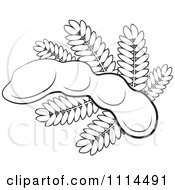 Outlined Tamarind Fruit And Leaves