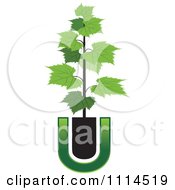 Clipart Potted Grape Vine And Letter U Royalty Free Vector Illustration by Lal Perera