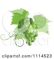 Poster, Art Print Of Green Grapes And Leaves