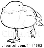 Clipart Outlined Duck Standing On One Leg 1 Royalty Free Vector Illustration