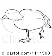 Poster, Art Print Of Outlined Duck Standing On One Leg 2