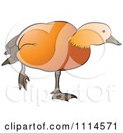 Clipart Duck Standing On One Leg Royalty Free Vector Illustration by Lal Perera