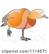 Poster, Art Print Of Duck Standing On One Leg