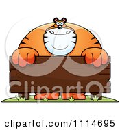Buff Tiger Behind A Wooden Sign