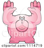 Clipart Buff Pig Giving Up Royalty Free Vector Illustration