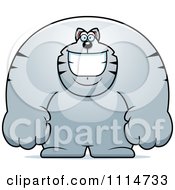 Poster, Art Print Of Happy Buff Gray Cat Smiling