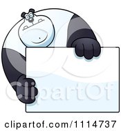 Clipart Buff Panda Holding A Sign 1 Royalty Free Vector Illustration