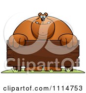 Buff Bear Behind A Wooden Sign