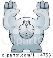 Poster, Art Print Of Buff Gray Cat Giving Up