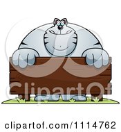 Poster, Art Print Of Buff Gray Cat Behind A Wooden Sign