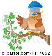 Clipart Wise Professor Owl Presenting On A Branch Royalty Free Vector Illustration