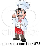 Poster, Art Print Of Happy Male Chef Gesturing Ok