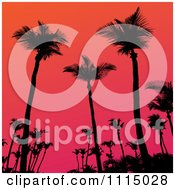 Silhouetted Tropical Palm Trees Against A Gradient Sunset Sky