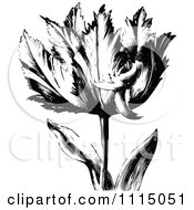 Clipart Vintage Black And White Spring Tulip Flower 1 Royalty Free Vector Illustration