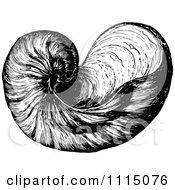 Clipart Vintage Black And White Sea Shell 3 Royalty Free Vector Illustration