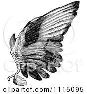 Poster, Art Print Of Vintage Black And White Bird Wing