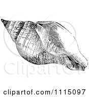 Clipart Vintage Black And White Sea Shell 2 Royalty Free Vector Illustration