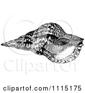 Clipart Vintage Black And White Sea Shell 1 Royalty Free Vector Illustration