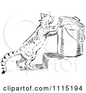 Clipart Vintage Black And White Cat Getting Into Garbage Royalty Free Vector Illustration