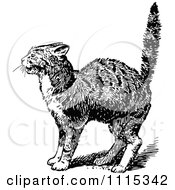 Clipart Vintage Black And White Scared Cat- Royalty Free Vector Illustration