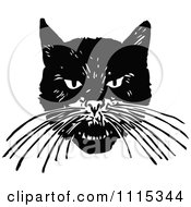 Vintage Black And White Angry Cat Face