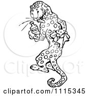 Poster, Art Print Of Vintage Black And White Leopard Rubbing His Spots Off