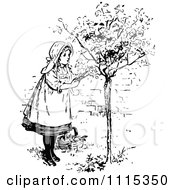 Poster, Art Print Of Vintage Black And White Girl Picking Flowers From A Shrub 1