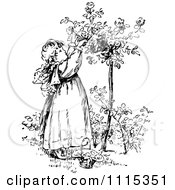 Poster, Art Print Of Vintage Black And White Girl Picking Flowers From A Shrub 2