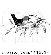 Clipart Vintage Black And White Bird On A Branch Royalty Free Vector Illustration