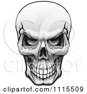 Clipart Grayscale Evil Human Skull Grinning Royalty Free Vector Illustration