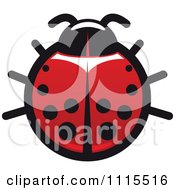 Poster, Art Print Of Spotted Ladybug Beetle 5
