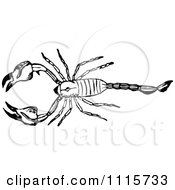 Clipart Retro Vintage Black And White Scorpion 1 Royalty Free Vector Illustration