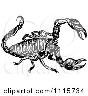 Clipart Retro Vintage Black And White Scorpion 2 Royalty Free Vector Illustration