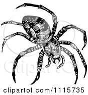 Clipart Retro Vintage Black And White Spider Royalty Free Vector Illustration by Prawny Vintage
