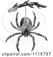 Poster, Art Print Of Retro Vintage Black And White Spider Hanging From A Branch